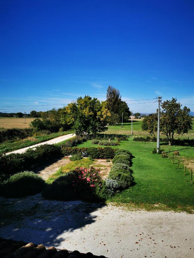 La Casa Dei Tigli Bed and Breakfast Cannara Exterior foto