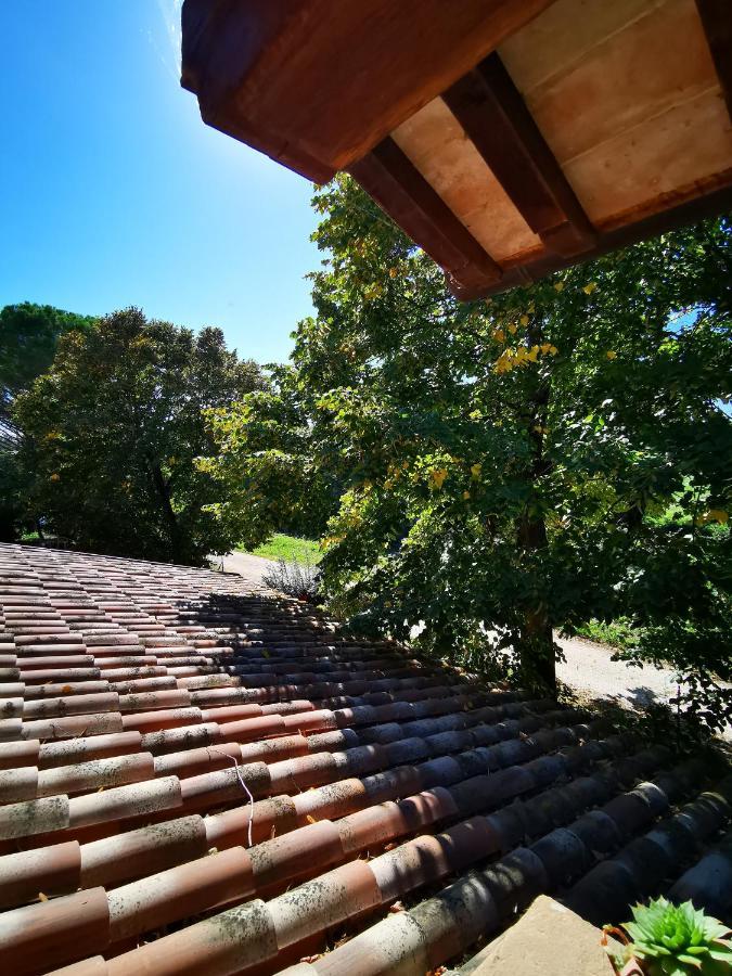 La Casa Dei Tigli Bed and Breakfast Cannara Exterior foto