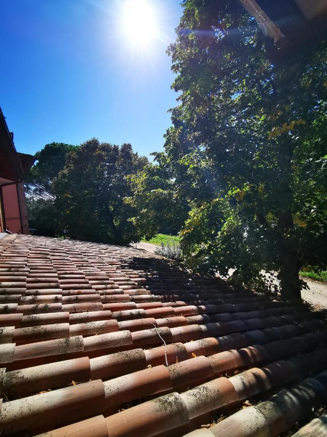 La Casa Dei Tigli Bed and Breakfast Cannara Exterior foto